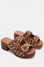 Animal Print