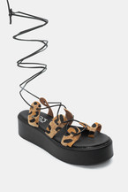 Animal Print