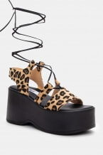 Animal Print
