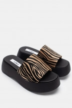 Bezhova Zebra
