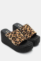 Animal Print