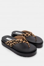 Animal Print