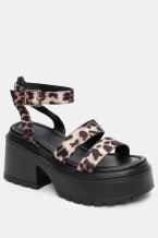 Animal Print