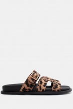 Print Animal