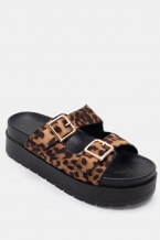 Animal Print
