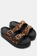 Animal Print