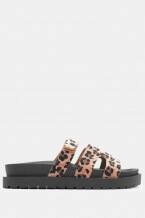 Animal Print
