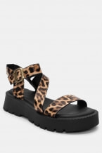Animal Print
