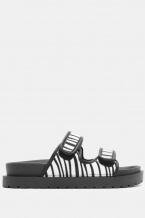 Zebra White-Black
