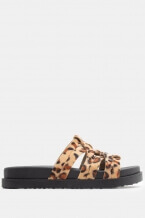 Animal Print