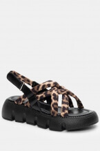 Animal Print