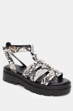 Snake Print