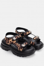 Animal Print